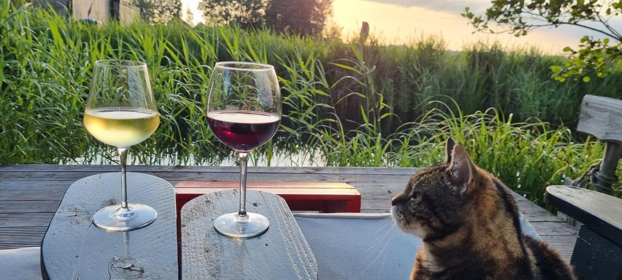 Villa Slapen Bij Bonanza Bantega Esterno foto